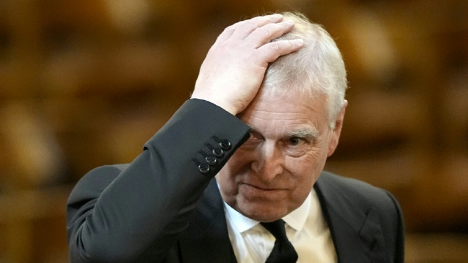 Protesta dentro del palacio de Buckingham contra el expr&iacute;ncipe Andr&eacute;s