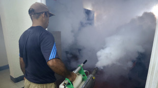 Cuba, altri cinque morti per il virus chikungunya