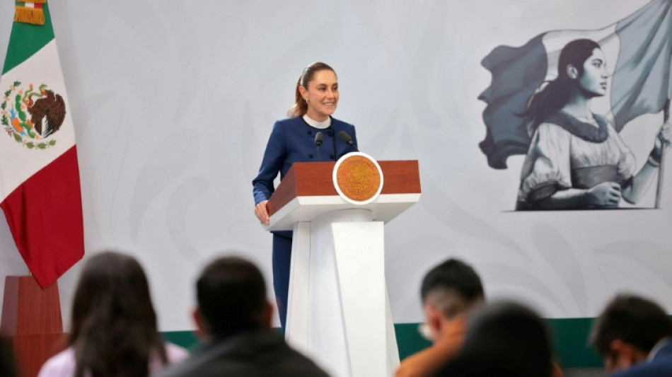 La presidenta de M&eacute;xico presenta una arriesgada reforma electoral