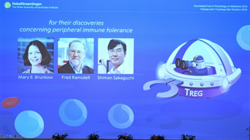 Medizin-Nobelpreis für Entdeckung von "Wächtern" des Immunsystems