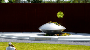 Rússia apresenta apelação à CIJ para negar responsabilidade por queda do voo MH17