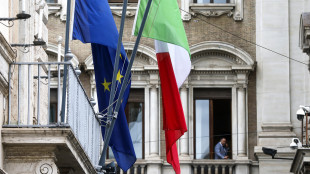Fonti, via libera della Commissione Ue al piano Safe dell'Italia