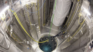 Finlande: fuite de liquide de refroidissement radioactif dans l'enceinte du r&eacute;acteur EPR