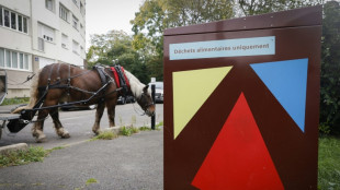 Chaque Fran&ccedil;ais jette chaque ann&eacute;e 25 kilos de nourriture, selon Too Good To Go