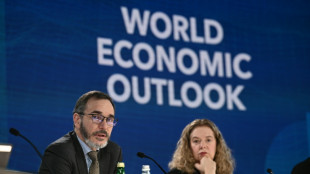 Face aux risques persistants, le FMI reste prudent pour l'&eacute;conomie mondiale