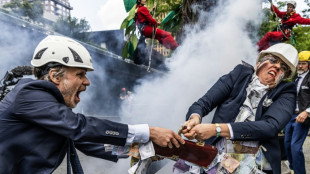 Des milliers de manifestants pour le climat dans un quartier d'affaires &agrave; Amsterdam
