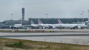 Jeudi noir pour le transport a&eacute;rien fran&ccedil;ais malgr&eacute; la lev&eacute;e d'un pr&eacute;avis de gr&egrave;ve
