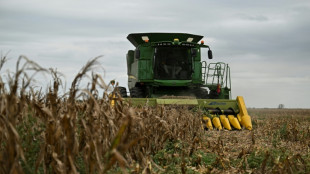 Argentina enfrenta p&eacute;rdidas millonarias en el campo por su peor sequ&iacute;a