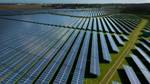 Baerbock und Habeck optimistisch bei Energiewende - &Ouml;l-Industrie widerspricht