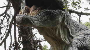 Borse in pelle di T-rex, la sfida biotech che punta al lusso