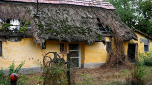 En Hongrie, l'exclusion des Roms au nom de "la pr&eacute;servation de l'identit&eacute; locale"