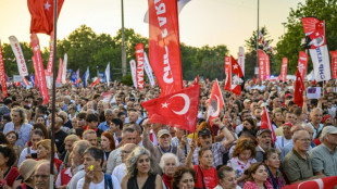 M&aacute;s de 10.000 opositores se manifiestan en Estambul contra el gobierno turco