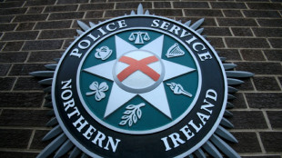 N.Ireland police mistakenly release officer details