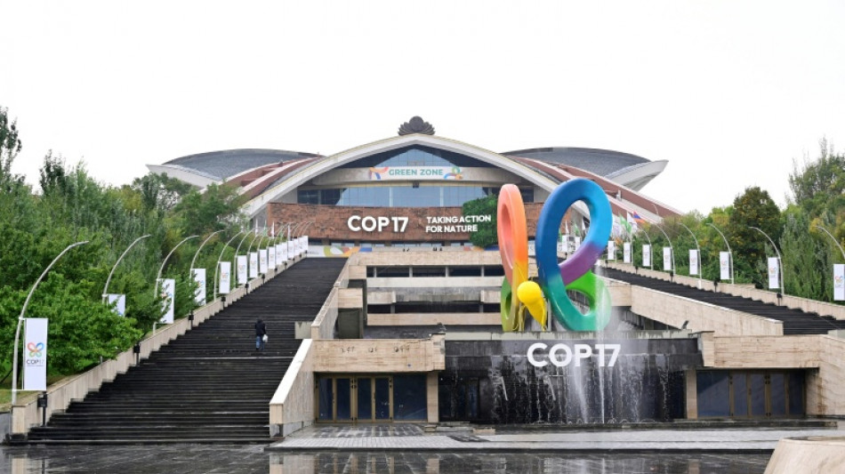 Las COP, un "mont&oacute;n de tonter&iacute;as", afirma Panam&aacute;, que quiere celebrar la pr&oacute;xima reuni&oacute;n