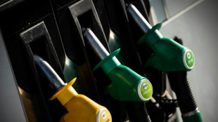 La inflaci&oacute;n progresa en Francia a un 2,9% en enero