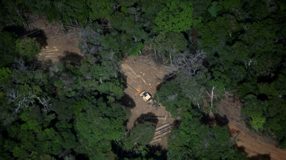 Amaz&ocirc;nia Legal registra menor &aacute;rea desmatada em nove anos