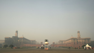 'Hazardous' smog chokes India's capital