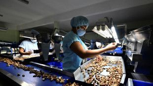 La casta&ntilde;a o nuez amaz&oacute;nica, otra v&iacute;ctima de la deforestaci&oacute;n en Bolivia
