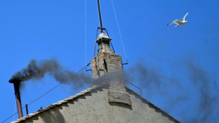 Second black smoke, cardinals to vote again for new pope
