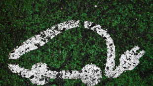 "Leasing social": 90.000 pr&eacute;-inscrits, la premi&egrave;re voiture &eacute;lectrique livr&eacute;e