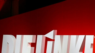 Parteitag der Linken in Erfurt begonnen