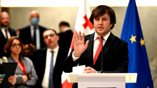 La G&eacute;orgie va "imm&eacute;diatement" demander l'adh&eacute;sion &agrave; l'UE (parti au pouvoir)