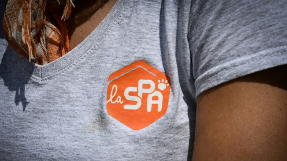 La SPA lance sa campagne d'&eacute;t&eacute; contre l'abandon des animaux, avec Gilles Lellouche  