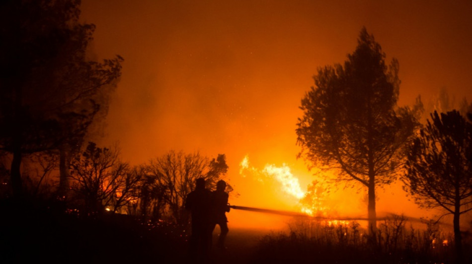 Provence: un an et demi apr&egrave;s &ecirc;tre parti en fum&eacute;e, un massif m&eacute;diterran&eacute;en rena&icirc;t de ses cendres