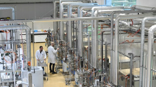 Innovation: la levure, de l'infiniment petit au campus g&eacute;ant de Lesaffre