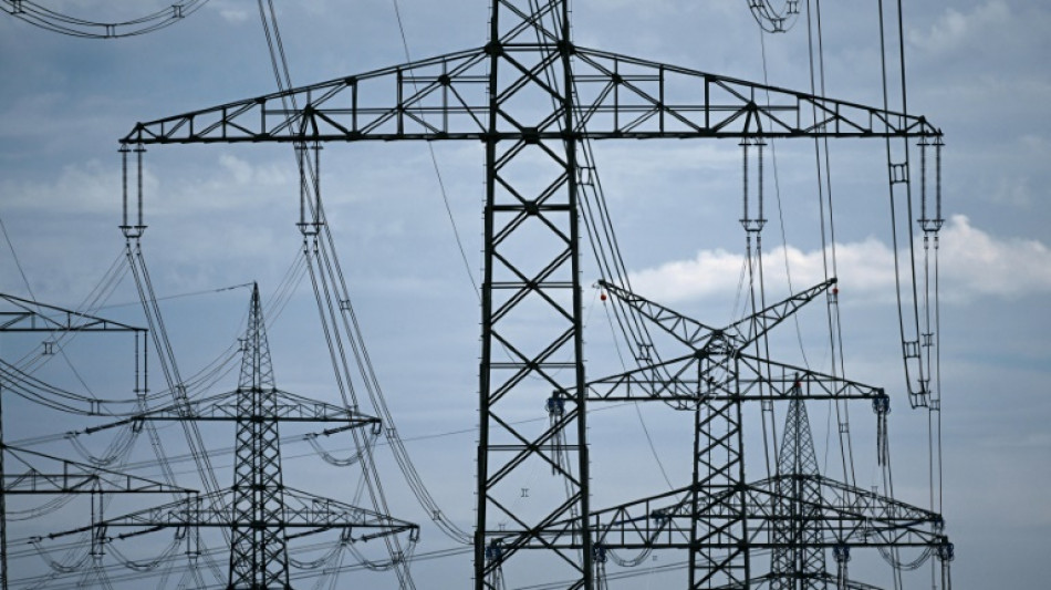 Linken-Fraktionschef Bartsch kritisiert Strompreisbremse: Deckel zu hoch 