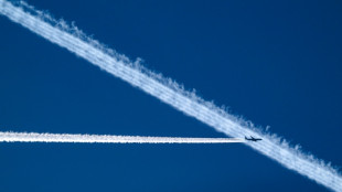 Airlines erwarten im kommenden Jahr Rekordzahl an Fluggästen