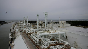 Umweltsch&uuml;tzer machen vor Scholz-Besuch auf R&uuml;gen gegen LNG-Terminal mobil