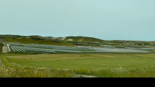 Acea Solar, avviata centrale solare da 28 Mw nel Catanese