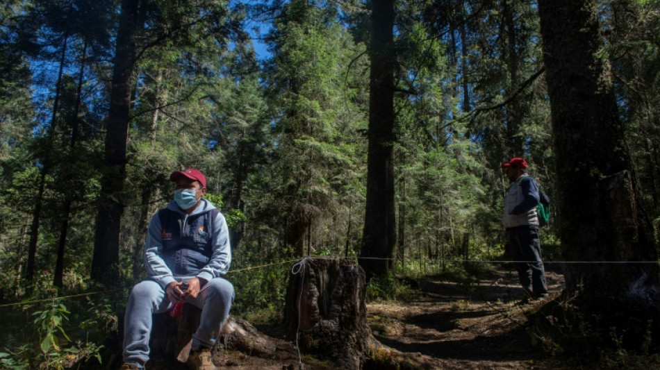 "&iexcl;Te mato!", ambientalistas mexicanos viven con el miedo a cuestas
