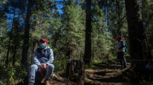 "&iexcl;Te mato!", ambientalistas mexicanos viven con el miedo a cuestas