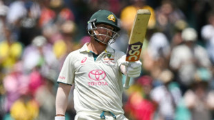 Warner aware of 'seriousness' of drink-driving charges: Cricket NSW 