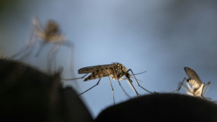 &iquest;Debe la humanidad erradicar a los mosquitos m&aacute;s letales?