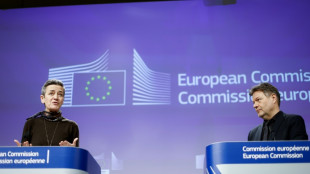 L'UE r&eacute;plique aux subventions am&eacute;ricaines pour une usine de batteries