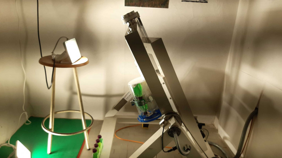 Microalghe su Marte, brevetto internazionale dalla Sardegna (2)