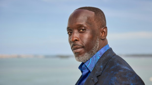 Quatre trafiquants de drogue arr&ecirc;t&eacute;s &agrave; New York en lien avec la mort de l'acteur Michael K. Williams