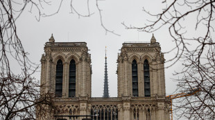 Notre-Dame a Parigi ha gi&agrave; accolto in un mese 860.000 visitatori