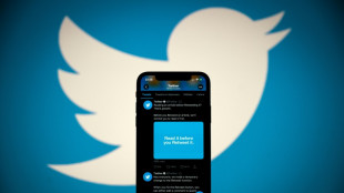 Elon Musk es el nuevo due&ntilde;o de Twitter por USD 44.000 millones