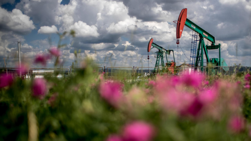 Il petrolio in rialzo a New York a 68,35 dollari