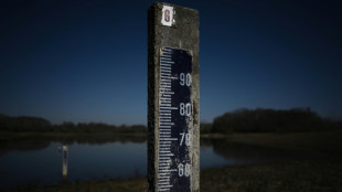 Un mois sans véritables pluies en France, record de 2020 en passe d'être égalé