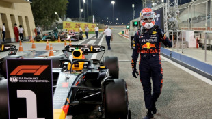 'Pleasant surprise' as Verstappen takes pole for Bahrain GP season-opener