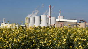 Sogin termina attivit&agrave; consulenza per centrale Bohunice