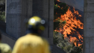Foreigners among 12 killed in ferocious Spain wildfire