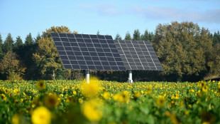 Electricit&eacute;: les Fran&ccedil;ais se tournent vers le soleil