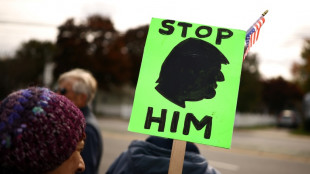Mobilisation aux &Eacute;tats-Unis pour transformer la contestation anti-Trump en vote