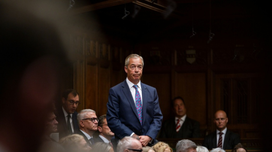 UK's Farage under the cosh over undeclared finances